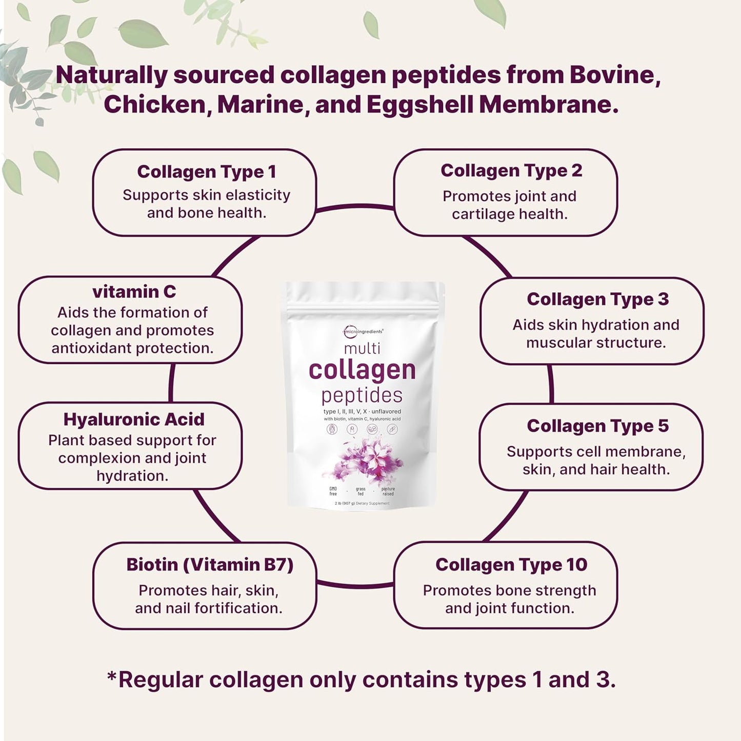 Micro Ingredients Multi Collagen Protein Powder, 2 lbs - Type I, II, III, V, X with Biotin, Hyaluronic Acid, Vitamin C.