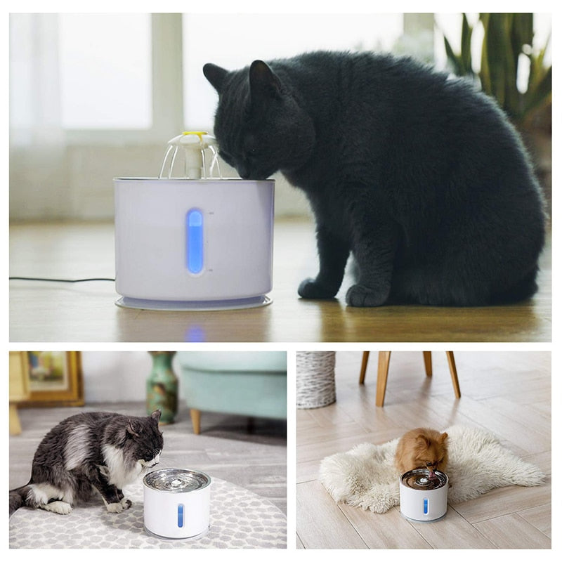 Fuente de agua para gatos